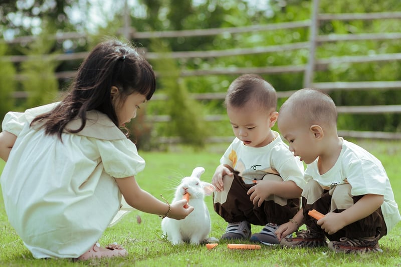 Spring picnic